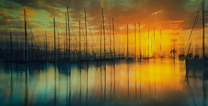 Merit For A23 Turner Sunrise Manly Harbour By Julie Geldard