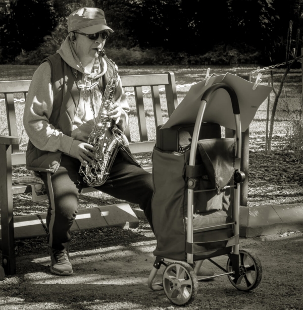 Merit For Music In The Brisbane Botanical Gardens By Margareta Dewilde