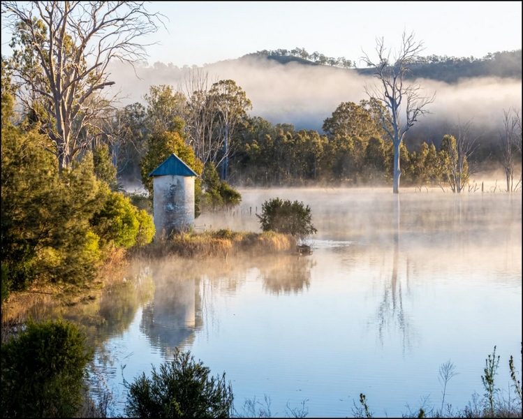 Honour For Digital Dawn Awakening By Dorothy Harkins