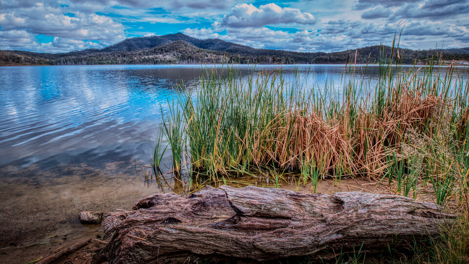 Honour For Print Lake View By Bill Van Diest