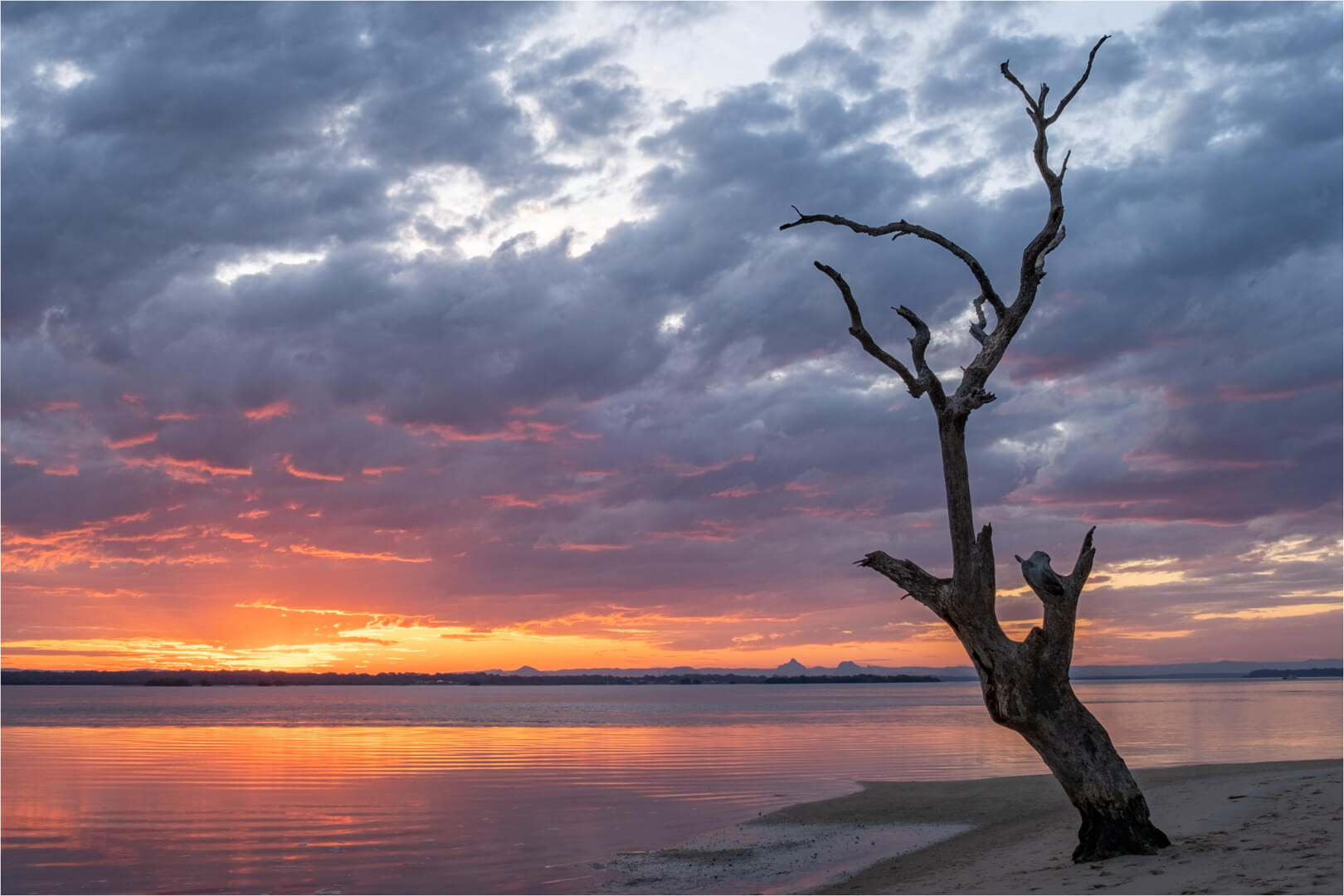 Merit For Digital 42 Bribie Sunset By Suzanne Edgeworth