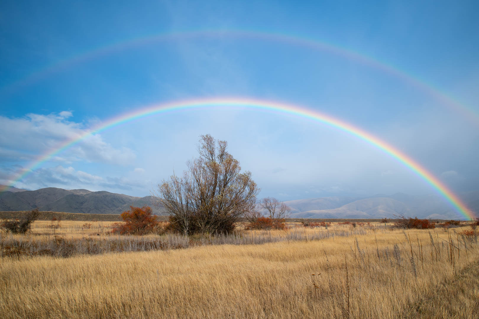 Merit For Digital NATURES DOUBLE TAKE By Gwenda Kruger