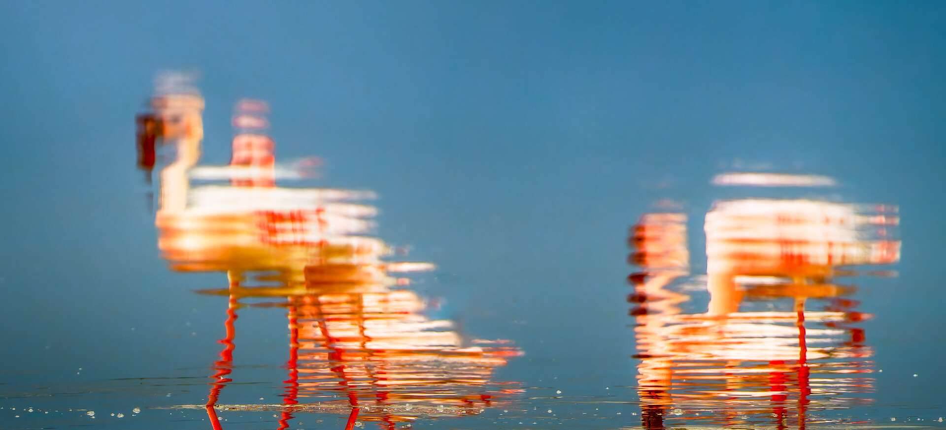 Merit For Digital Reflected Grace By Geoffrey Hui
