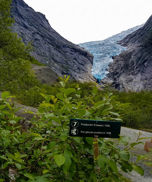 Honour For Digital Receding Glacier By Margareta Dewilde