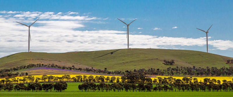 Honour For Digital Wind Power By Lekha Suraweera