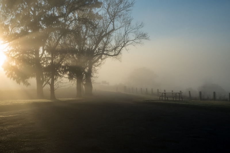 Honour For Digital Glouceaster Daybreak By Ian Hunter