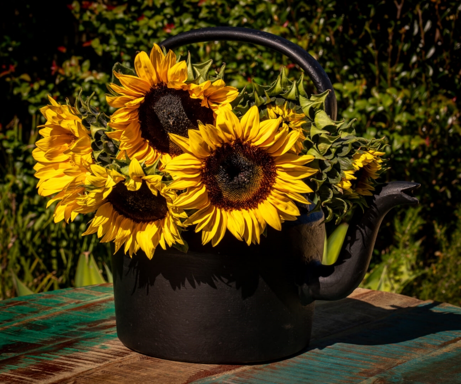 Honour For Digital Kettle Of Sunflowers By Rose Parr