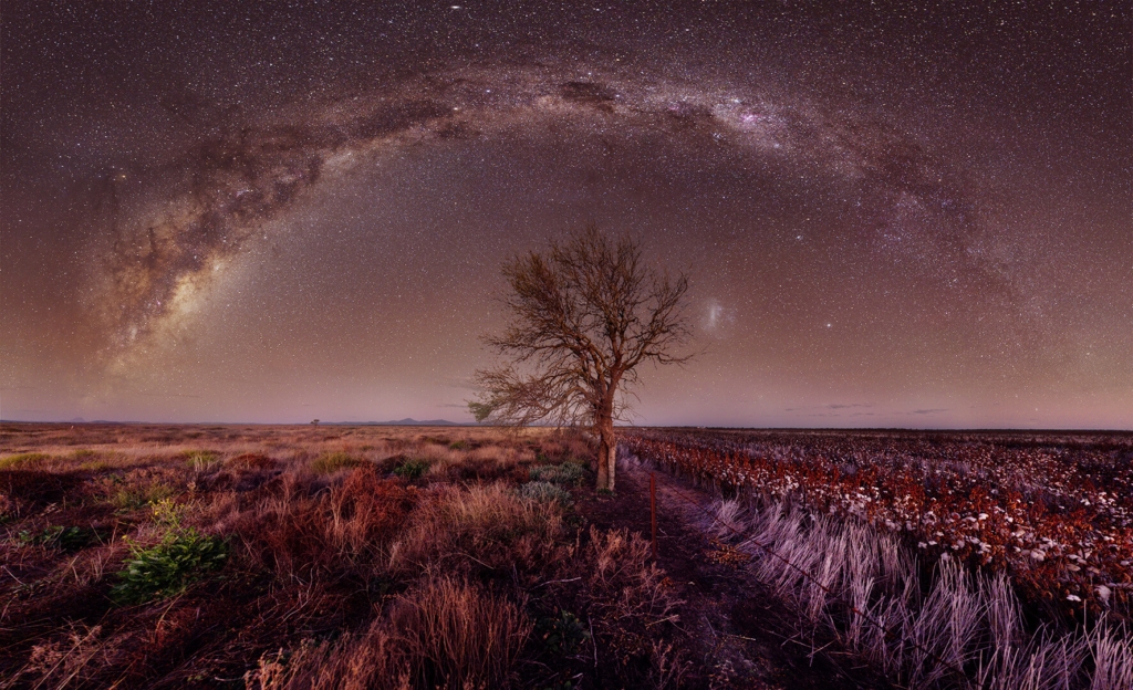 Honour For Digital Milky Way Over Cotton Fields By Jefferey Mott