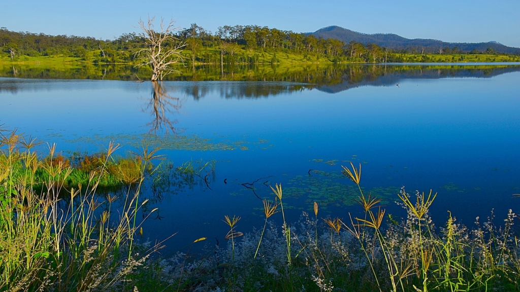 Merit For Print MORNING STILLNESS By Gwenda Kruger