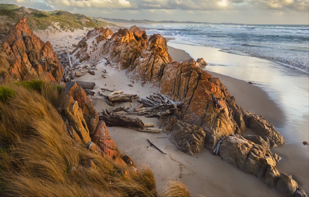 Merit For Print Tasmania Wild Tarkine By Paul MacKay