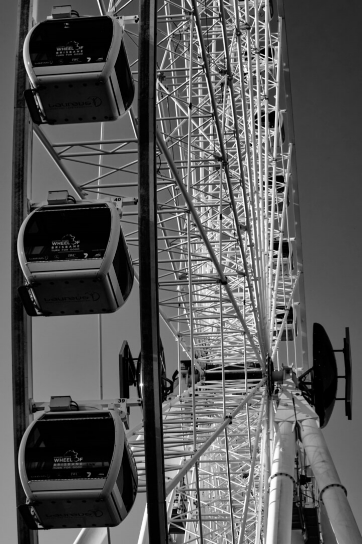 Merit For Digital Brisbane Wheel By Steve Drew