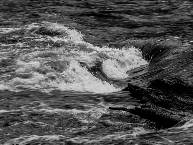 Merit For Digital 101 Dark Rapids By Trudi Aykens