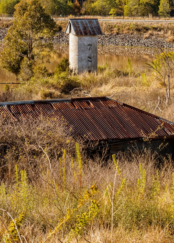 Merit For Digital Rust Tin Roof By Joni Keenan