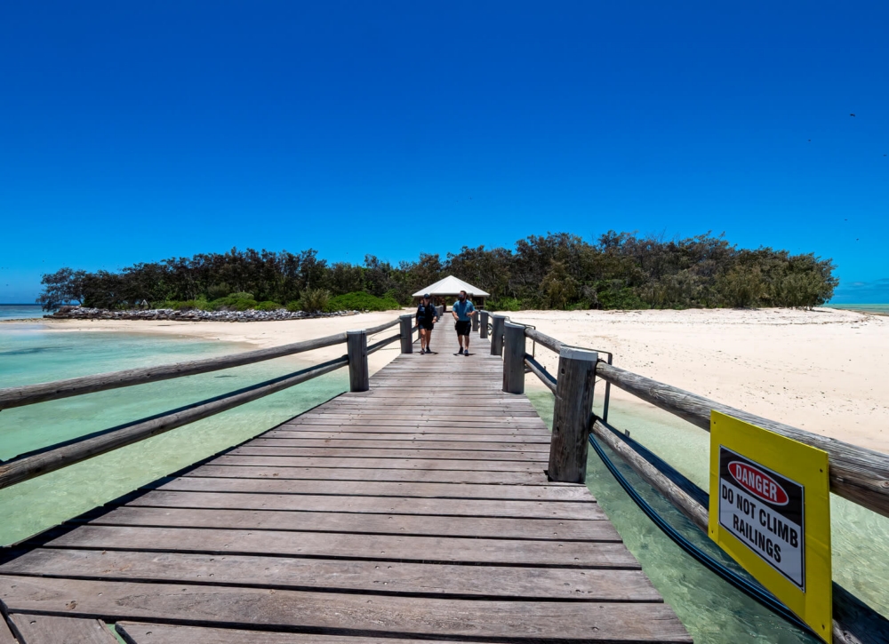 Merit For Print Arrival At Heron Island By Christine Jull