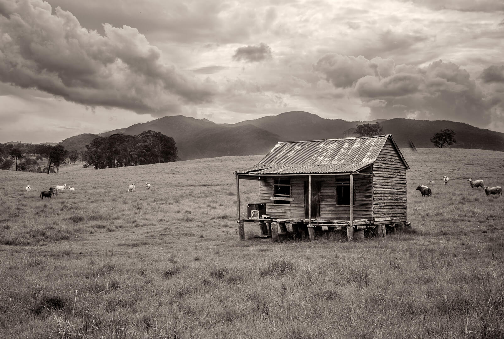 Merit For Digital Old Farm Hut By Alan Wigginton