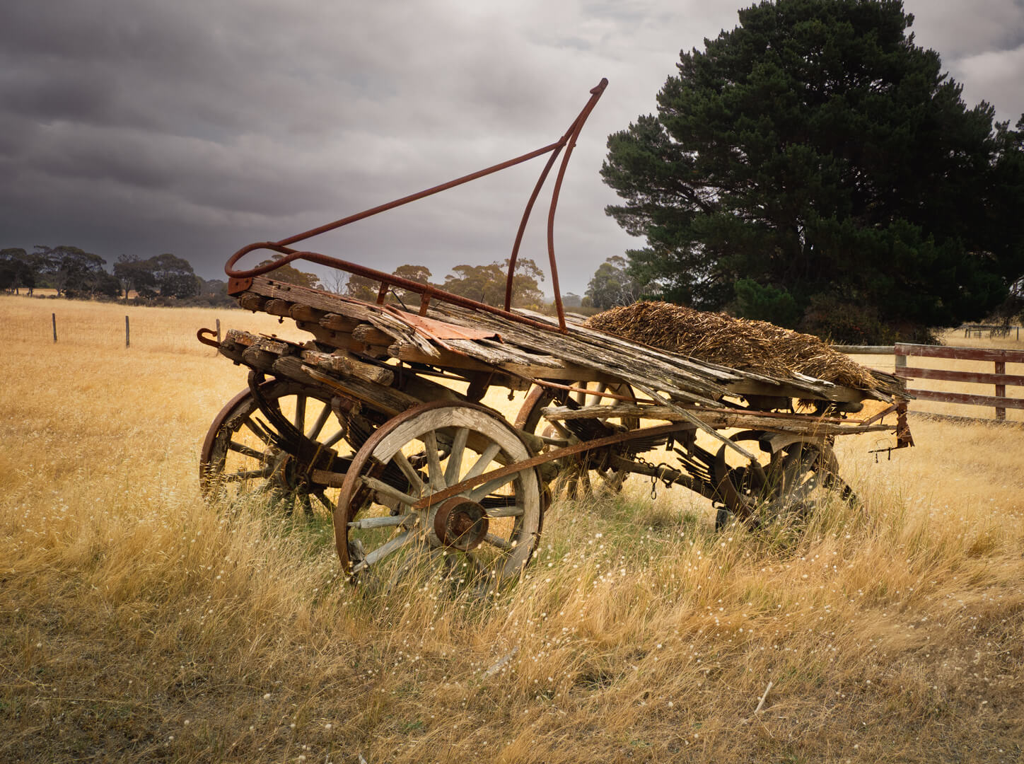 Merit For Digital Wagon By Margareta Dewilde