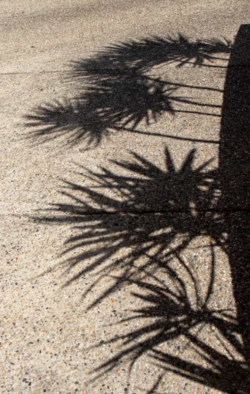 Merit For Pavement Shadow By Lee Dixon