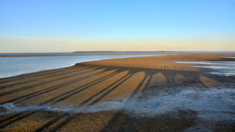 Merit For Shadows From The Pier By Gwenda Kruger