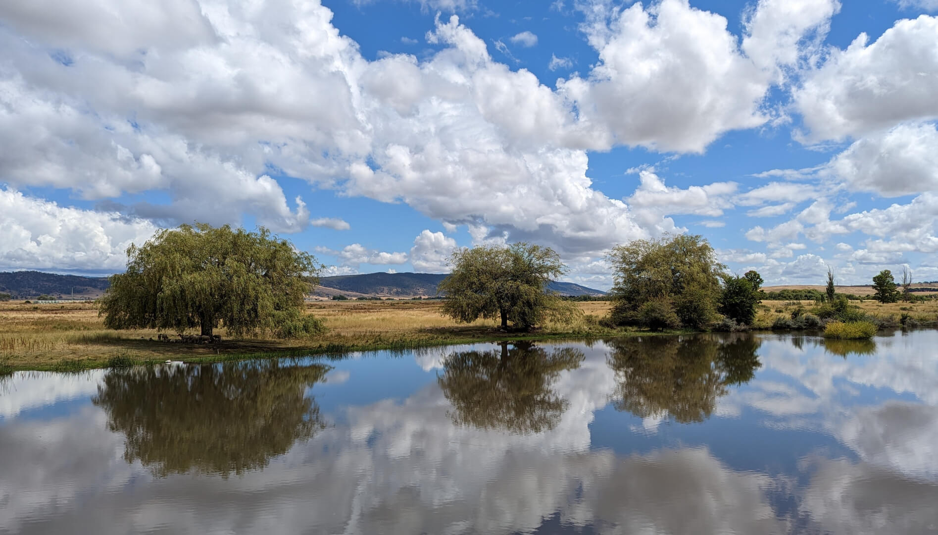 Honour For Digital 101 Macquarie River Reflections By Trudi Aykens