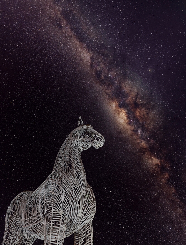 Honour For Digital 081 The Horse And The Stars By Jefferey Mott