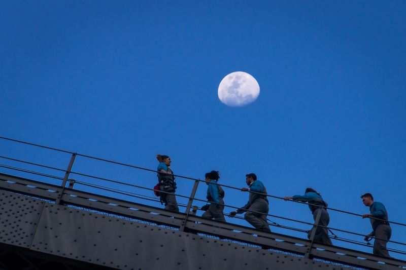 Honour For Digital Under The Moon By Brendan Barker