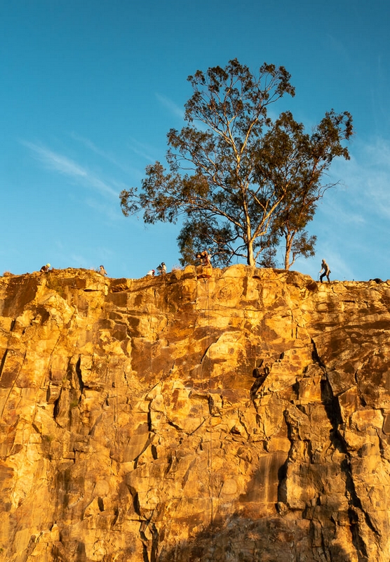 Merit For Digital Abseiling By Margareta Dewilde