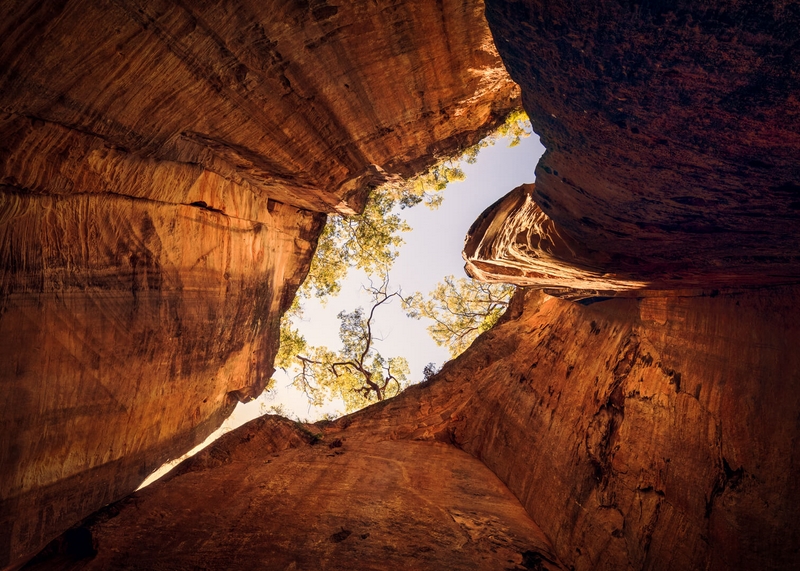 Merit For Digital Amphitheatre Carnarvon Gorge By Geoffrey Hui