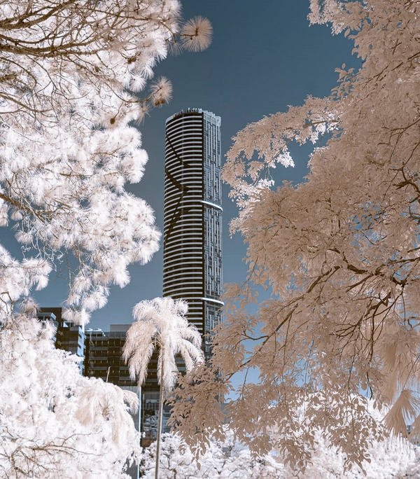 Merit For Digital City Infrared By John Doody